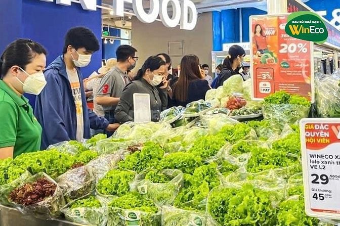 Hệ Thống WinMart Cần Tuyển N.Viên Trực Quầy, Thu Ngân, Tạp Vụ, Bảo Vệ