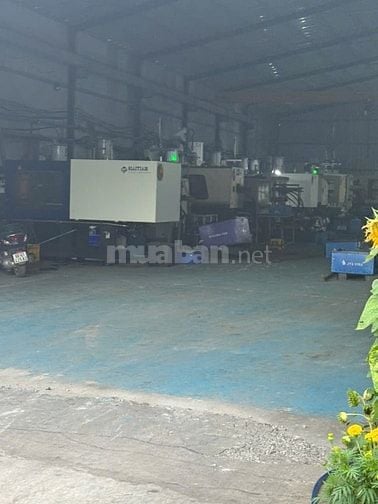 Cho thuê kho xưởng Liên Phường, Phú Hữu, Quận 9 DT 550m2; 730m2; 900m2