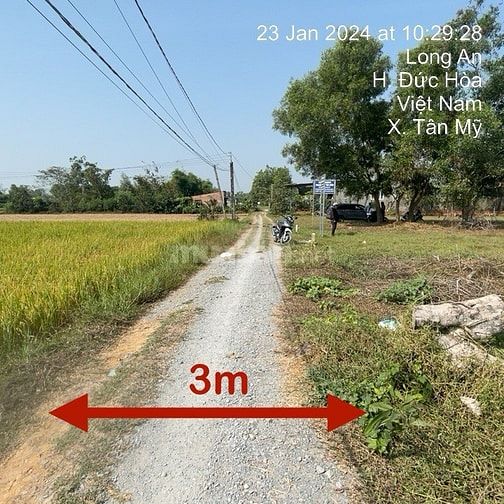 Công ty Đấu giá hợp danh Lam Sơn Sài Gòn THÔNG BÁO ĐẤU GIÁ TÀI SẢN