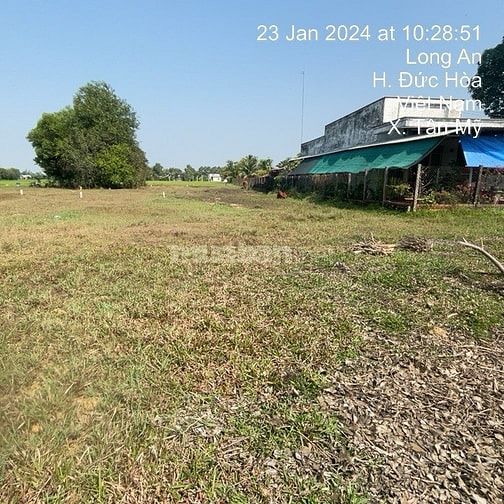 Công ty Đấu giá hợp danh Lam Sơn Sài Gòn THÔNG BÁO ĐẤU GIÁ TÀI SẢN