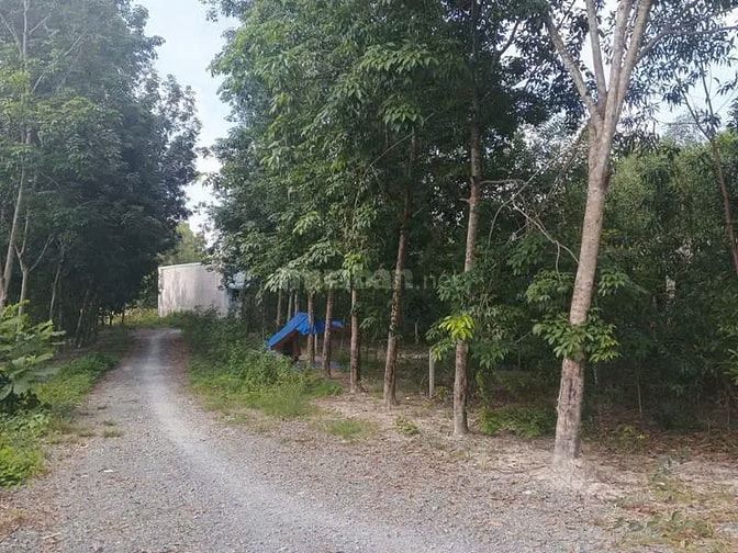 Công ty Đấu giá hợp danh Lam Sơn Sài Gòn THÔNG BÁO ĐẤU GIÁ TÀI SẢN