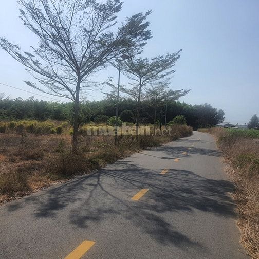 Công ty Đấu giá hợp danh Lam Sơn Sài Gòn THÔNG BÁO ĐẤU GIÁ TÀI SẢN