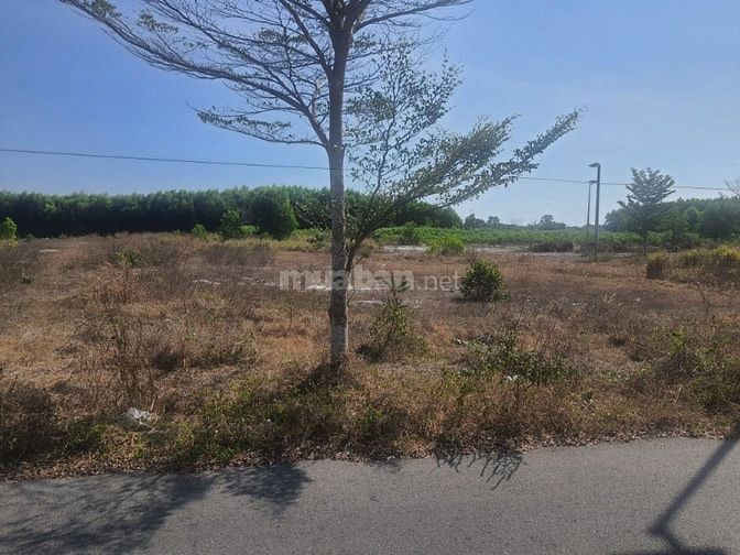 Công ty Đấu giá hợp danh Lam Sơn Sài Gòn THÔNG BÁO ĐẤU GIÁ TÀI SẢN