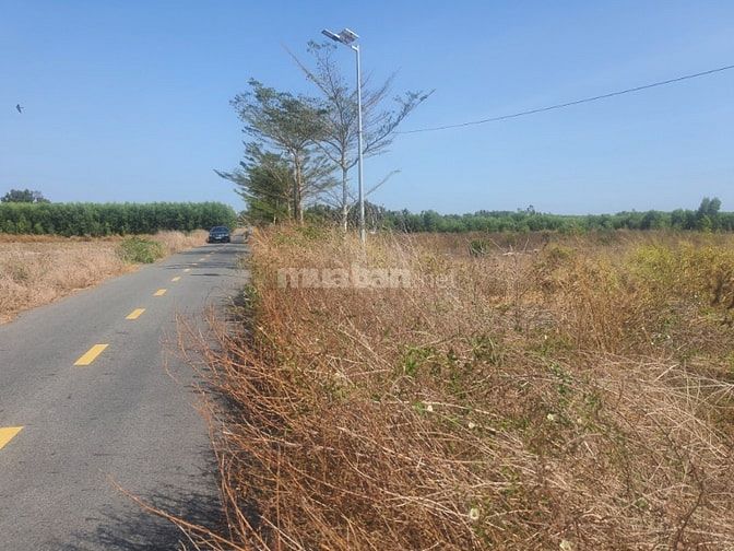Công ty Đấu giá hợp danh Lam Sơn Sài Gòn THÔNG BÁO ĐẤU GIÁ TÀI SẢN