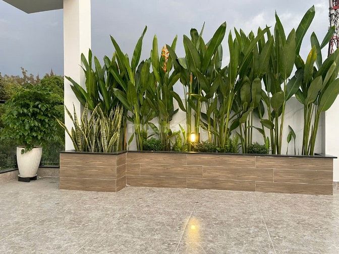 MTNB Lạc Long Quân- Cư Xá Phú Bình 4x12m trệt 3 lầu ST ,THANG MÁY