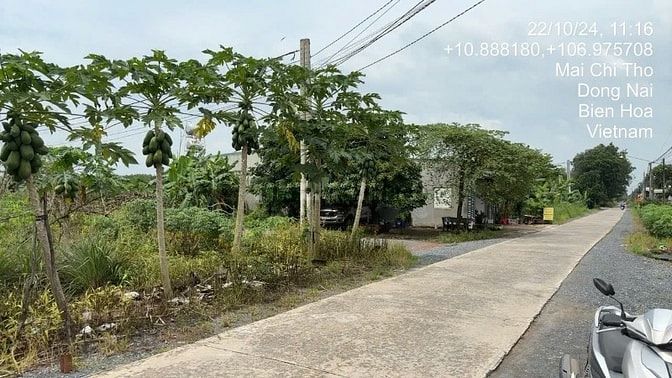 Công ty Đấu giá hợp danh Lam Sơn Sài Gòn THÔNG BÁO ĐẤU GIÁ TÀI SẢN
