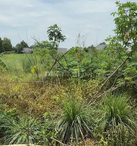 Công ty Đấu giá hợp danh Lam Sơn Sài Gòn THÔNG BÁO ĐẤU GIÁ TÀI SẢN