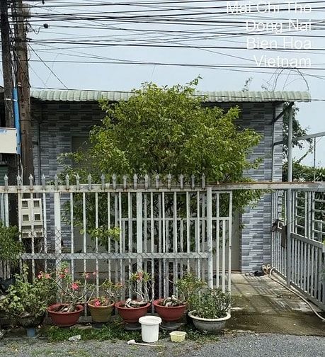 Công ty Đấu giá hợp danh Lam Sơn Sài Gòn THÔNG BÁO ĐẤU GIÁ TÀI SẢN