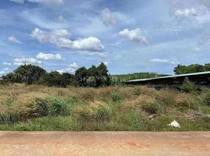 Công ty Đấu giá hợp danh Lam Sơn Sài Gòn THÔNG BÁO ĐẤU GIÁ TÀI SẢN