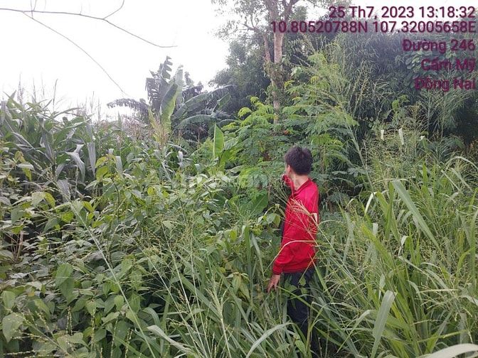 Công ty Đấu giá hợp danh Lam Sơn Sài Gòn THÔNG BÁO ĐẤU GIÁ TÀI SẢN
