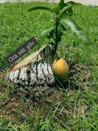 Kẹt tiền giảm 500tr bán gấp nhà Hẻm 4m đường An Bình, P5, Q5