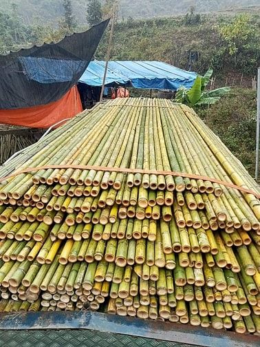đồ xây dựng cho anh em chuyên ngành