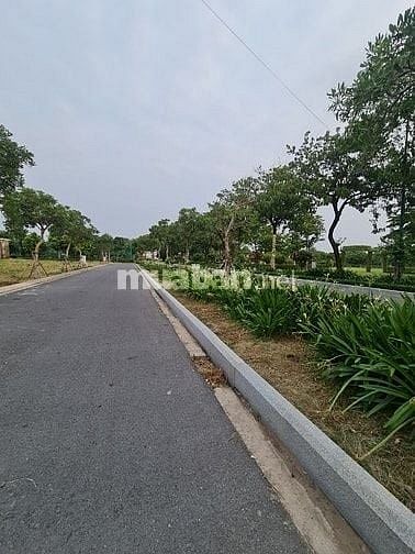 BÁN ĐẤT NỀN (NHÀ PHỐ TM) 4.5x22m, DA FIVE STAR ECO CITY, sổ hồng 2,8tỷ