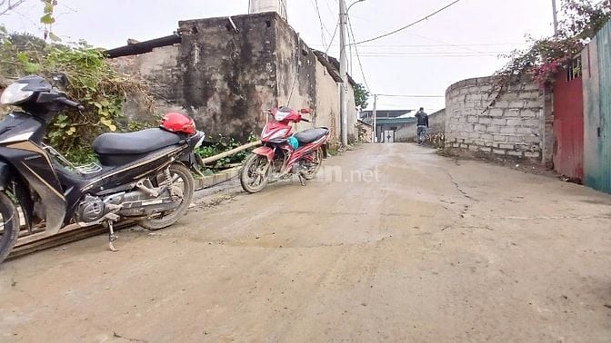 BÁN ĐẤT ĐÔNG YÊN, QUỐC OAI, HÀ NỘI