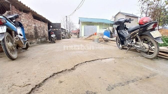 BÁN ĐẤT ĐÔNG YÊN, QUỐC OAI, HÀ NỘI