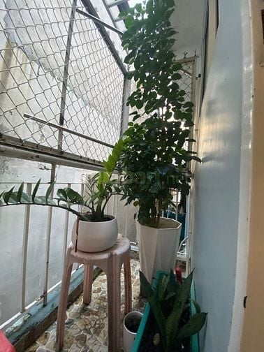 Phòng cho thuê 20m2 ban công, toilet riêng, hẻm xe hơi Hoàng Sa Q3 