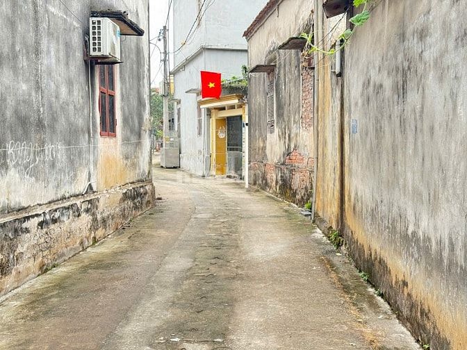 CẦU NHẬT TÂN - TP THÔNG MINH - VIN TÀM XÁ - CÔNG VIÊN KIM QUY - OTO VÀ