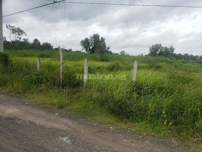 BÁN ĐẤT ĐƯỜNG XUÂN THỚI SƠN 8, HUYỆN HÓC MÔN, 849.8 M2