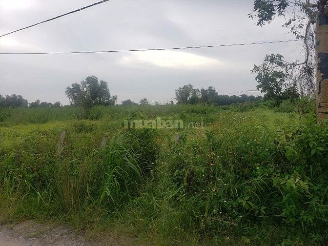 BÁN ĐẤT ĐƯỜNG XUÂN THỚI SƠN 8, HUYỆN HÓC MÔN, 849.8 M2
