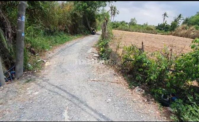 BÁN ĐẤT LONG PHƯỚC GÓC 2MT VỊ TRÍ ĐẸP, HIẾM RẼ NHẤT THỊ TRƯỜNG