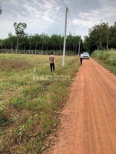 Cần bán gấp lô đất thanh an dầu tiếng 
