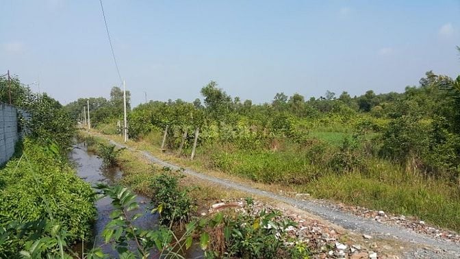 Cho thuê lâu dài 12.000m2 đất MT Võ Văn Bích