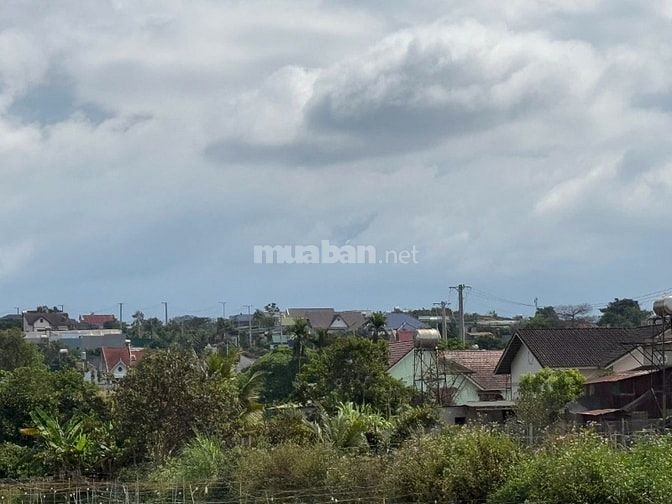 Cần tiền bán gấp lô đất mặt đường nhựa xã Nam Hà giá 1,54 tỷ