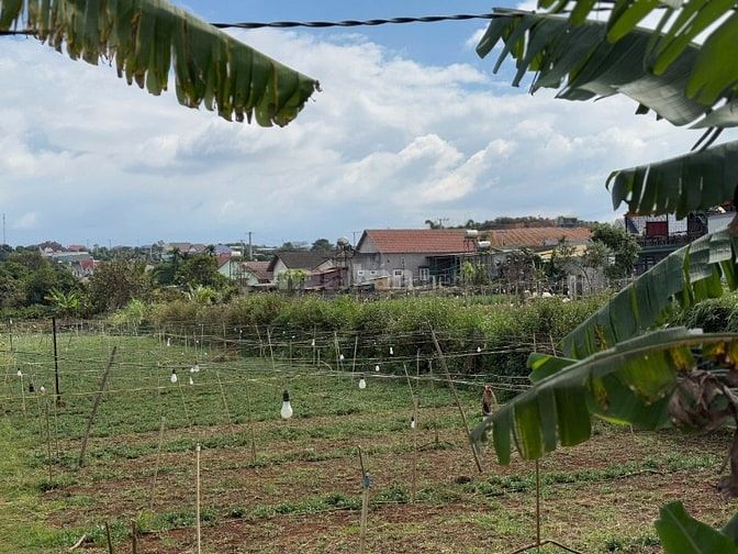 Cần tiền bán gấp lô đất mặt đường nhựa xã Nam Hà giá 1,54 tỷ