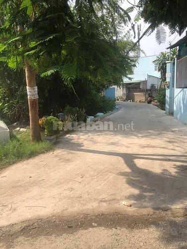 Cho thuê đất trống thổ cư đường xe tải phường Phú Hữu, TP Thủ Đức