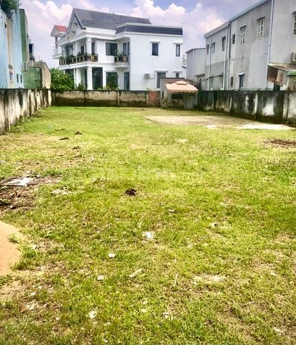 Cho thuê đất trống thổ cư đường xe tải phường Phú Hữu, TP Thủ Đức