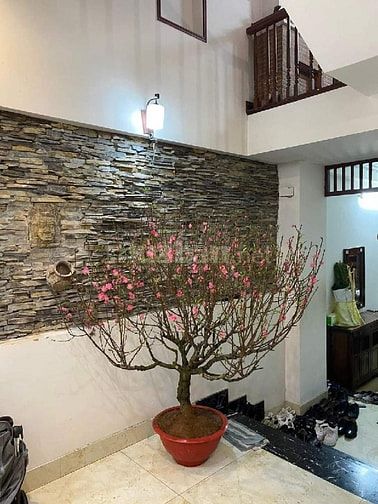 BÁN NHÀ PHÂN LÔ PHỐ MẠC THỊ BƯỞI-ÔTÔ ĐỖ CỬA-DT 72m2 / 4TẦNG-GIÁ 15 TỶ