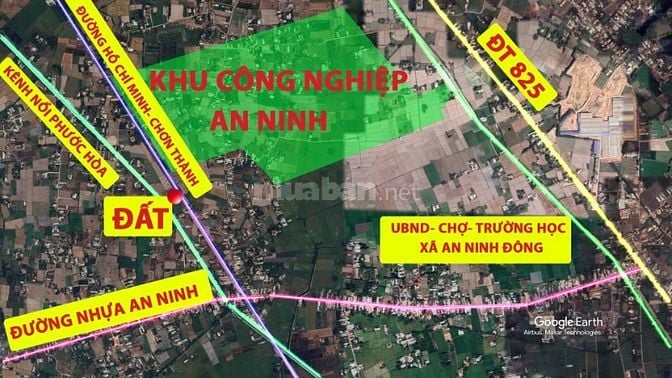 1.000 m2 thổ cư, mặt tiền nhựa rộng 38m, đối diện KCN Đức Hòa, Long An