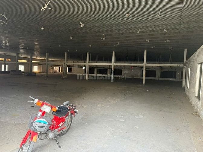 Cho thuê kho xưởng Lũy Bán Bích,Tân Phú,diện tích :3.000m2, giá: 300tr