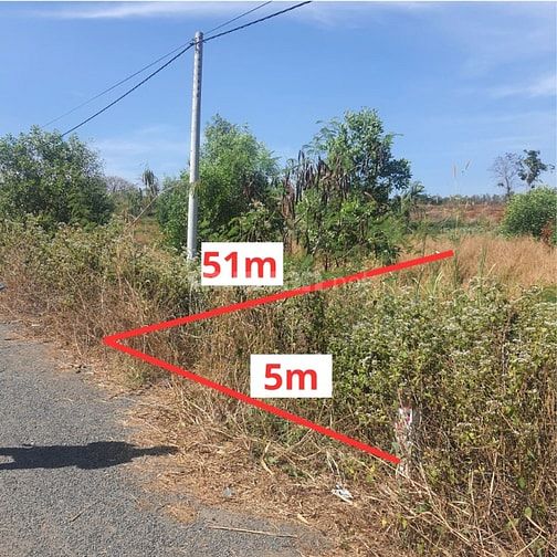 Công ty Đấu giá hợp danh Lam Sơn Sài Gòn THÔNG BÁO ĐẤU GIÁ TÀI SẢN
