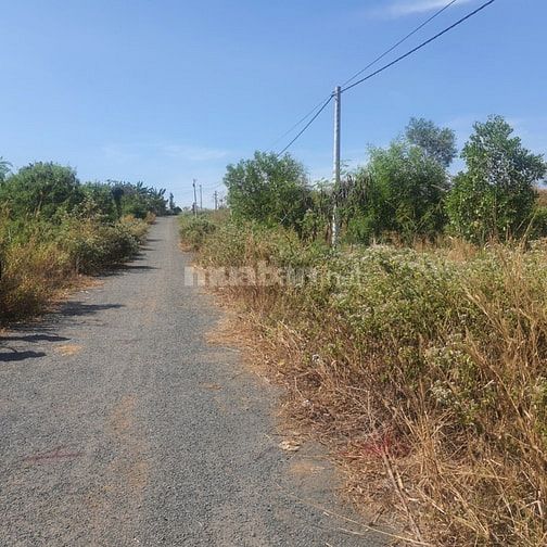 Công ty Đấu giá hợp danh Lam Sơn Sài Gòn THÔNG BÁO ĐẤU GIÁ TÀI SẢN