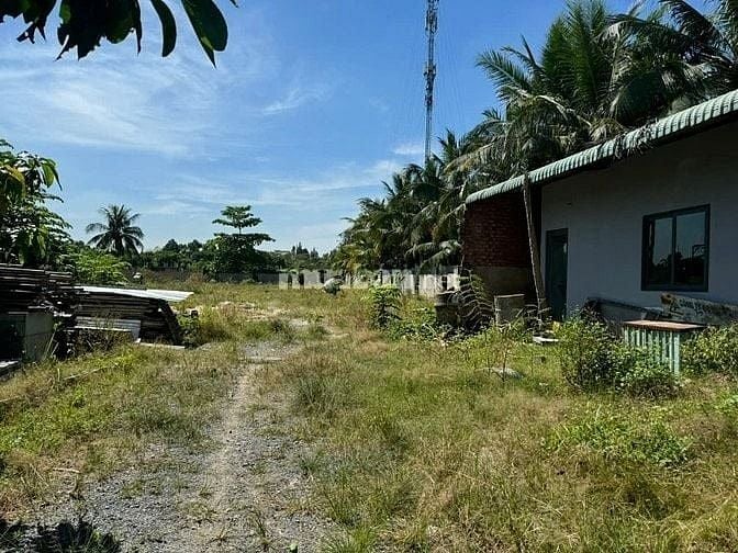 Cho thuê mặt bằng kho bãi đường nhị bình , bùi công trừng , hóc môn