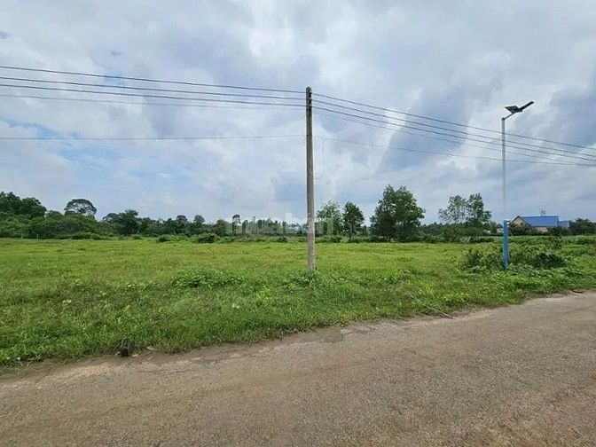 Công ty Đấu giá hợp danh Lam Sơn Sài Gòn THÔNG BÁO ĐẤU GIÁ TÀI SẢN