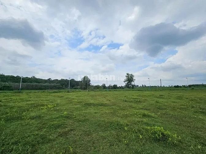 Công ty Đấu giá hợp danh Lam Sơn Sài Gòn THÔNG BÁO ĐẤU GIÁ TÀI SẢN