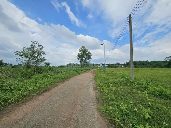 Công ty Đấu giá hợp danh Lam Sơn Sài Gòn THÔNG BÁO ĐẤU GIÁ TÀI SẢN