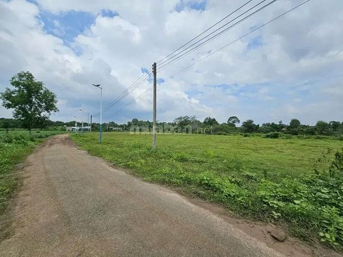 Công ty Đấu giá hợp danh Lam Sơn Sài Gòn THÔNG BÁO ĐẤU GIÁ TÀI SẢN