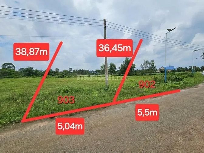 Công ty Đấu giá hợp danh Lam Sơn Sài Gòn THÔNG BÁO ĐẤU GIÁ TÀI SẢN