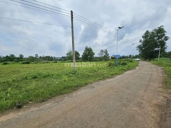 Công ty Đấu giá hợp danh Lam Sơn Sài Gòn THÔNG BÁO ĐẤU GIÁ TÀI SẢN