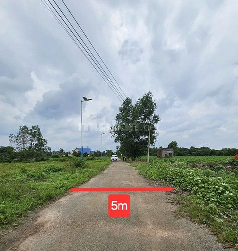 Công ty Đấu giá hợp danh Lam Sơn Sài Gòn THÔNG BÁO ĐẤU GIÁ TÀI SẢN