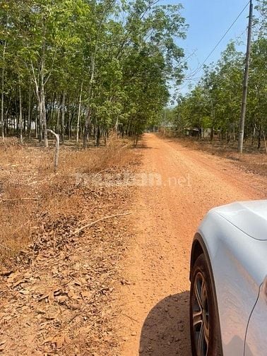 Thanh lý đất Bình Dương - Chính chủ - Giá cực tốt - Sinh lời cao