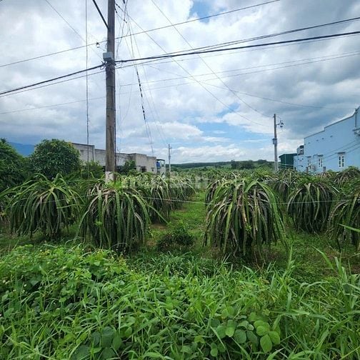 Công ty Đấu giá hợp danh Lam Sơn Sài Gòn THÔNG BÁO ĐẤU GIÁ TÀI SẢN