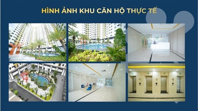 Căn 2PN Tecco Felice Homes Giá 1.290 giá CĐT Tặng gói nội thất FUll