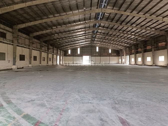 Cho thuê kho xưởng Trần Đại Nghĩa, Bình Chánh, DT: 6.000m2 - 4.000m2