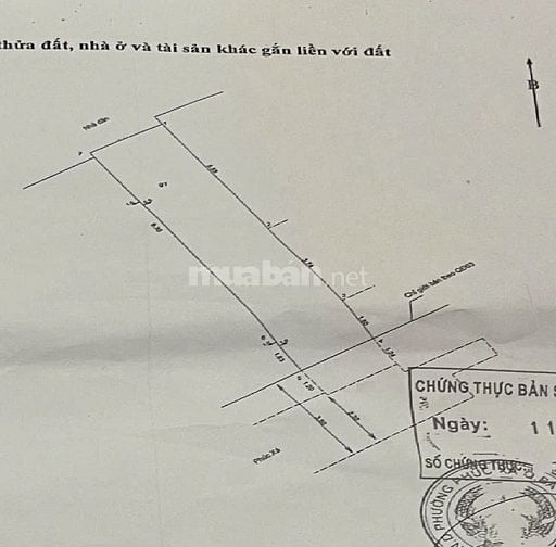 Phúc Xá Ba Đình, 33m2, 4.55 tỷ, sổ đỏ vuông nở hậu, ngõ thoáng rộng
