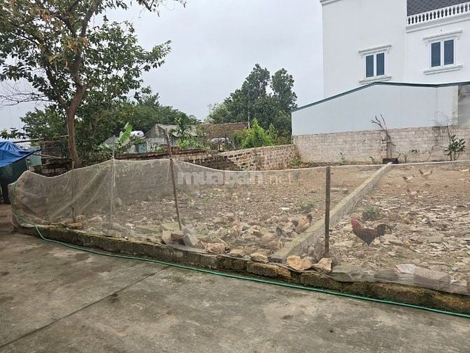 👑BÁN HOA HẬU 75M² FULL THỔ.30M TẠI TÂN TIẾN CHƯƠNG MỸ. GIÁ 1,7 TỶ