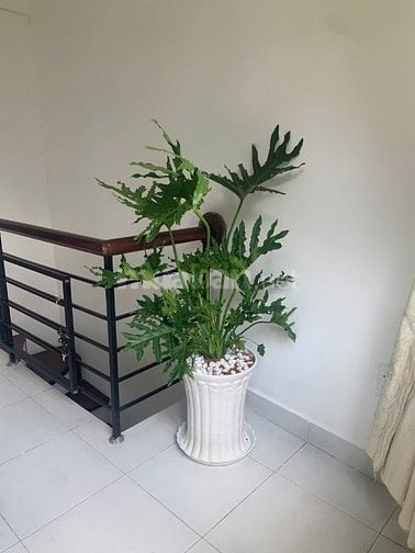 3.2 tỷ-bán nhà góc 2 tầng đúc BTCT-CN 24m2-Huỳnh Đình Hai-chợ Bà Chiểu